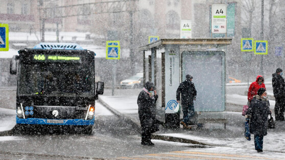    В Москве 2 марта ожидаются небольшой снег, гололедица и до минус 3°C Анна Белая