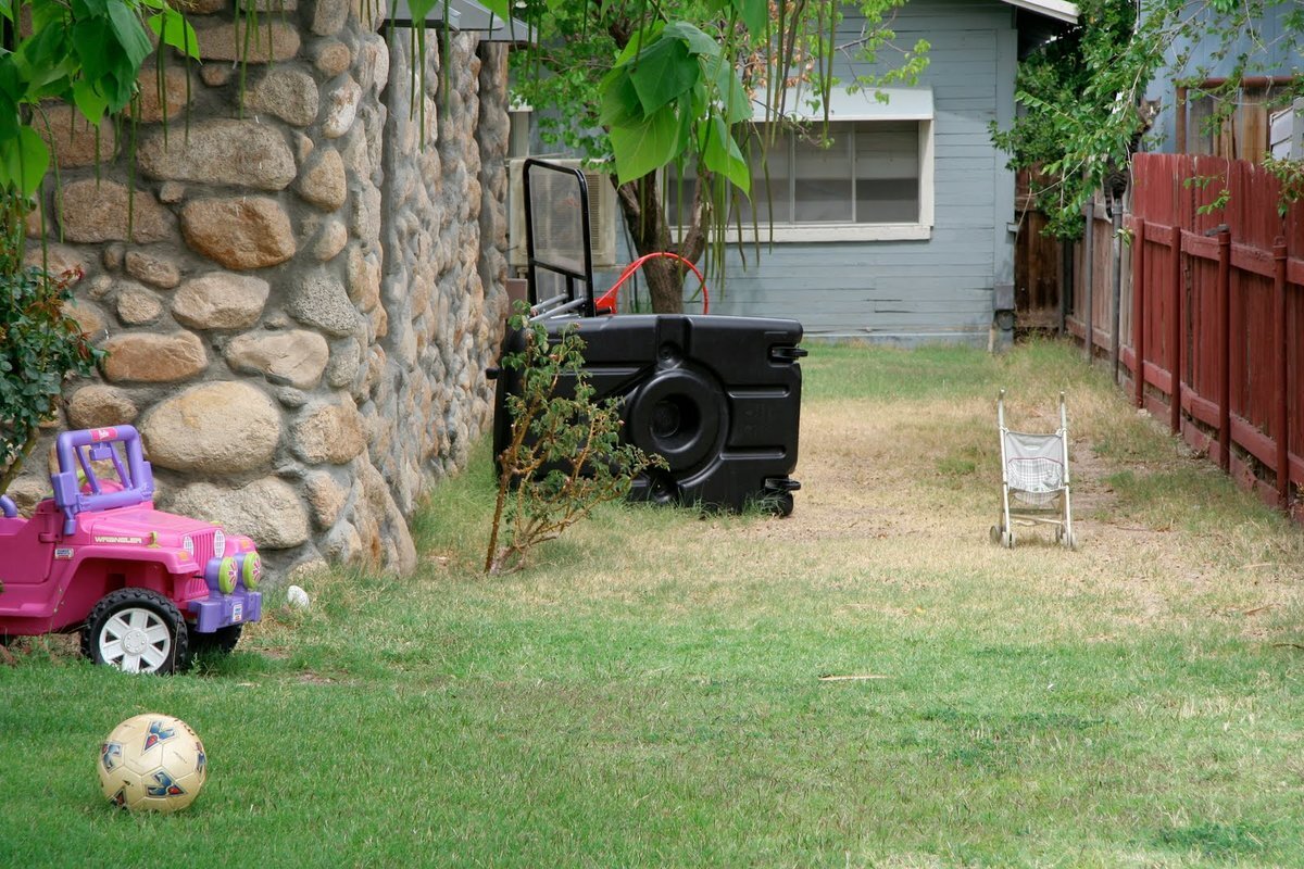 Видите кота? И я нет, а он есть!