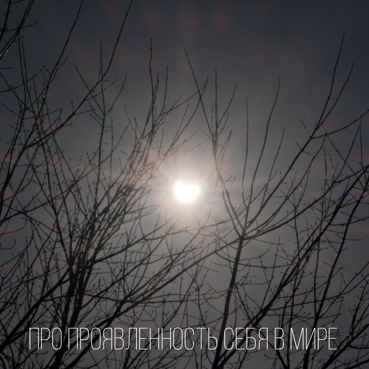 Фотография: https://grishin-photo.ru