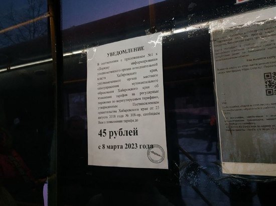     «Скорее мертв, чем жив»: хабаровчане поставили диагноз общественному транспорту / Ольга Кива