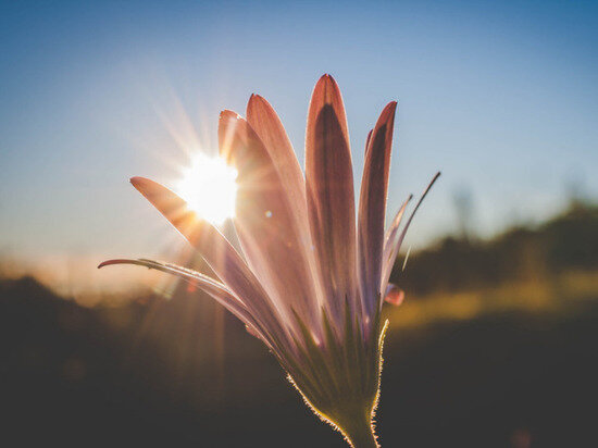     Вероятны необычные встречи, интересные знакомства. / canva.com