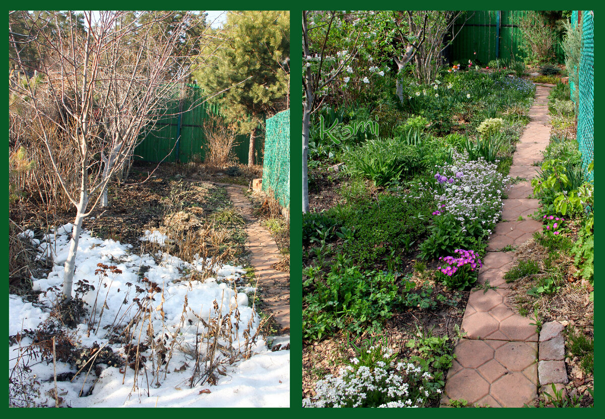 весной все меняется быстро и надо все успеть..во время!