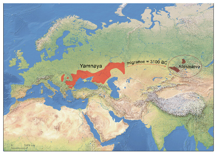   Martin Trautmann et al. / Science Advances, 2023
