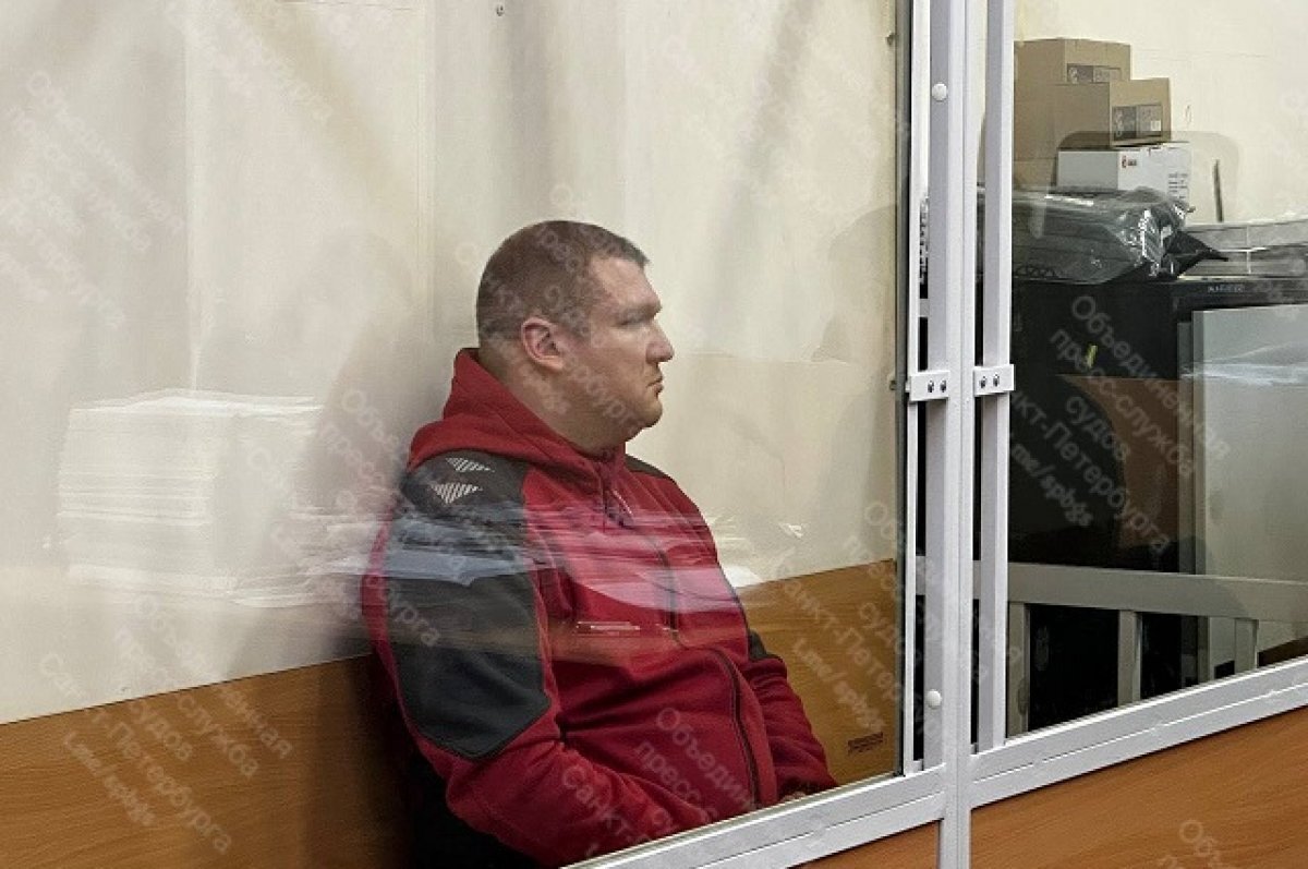    Задержанному депутату Ленобласти Федичеву избрали меру пресечения