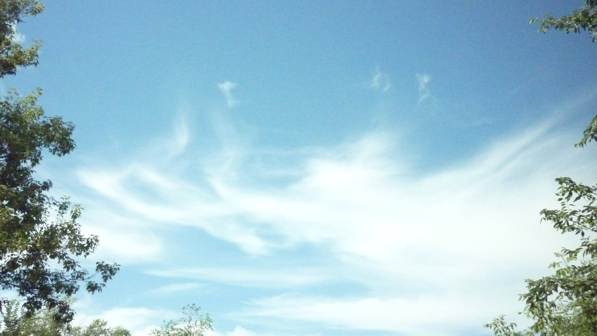 Муза из облаков сложилась перед моими очами на даче. С кифарой и нотками... 2017 год.