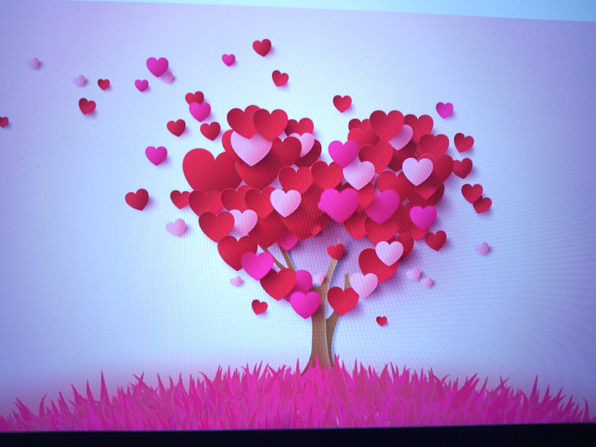 Готовый фон, использованный при съёмке 