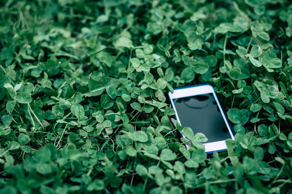 занималка.рф