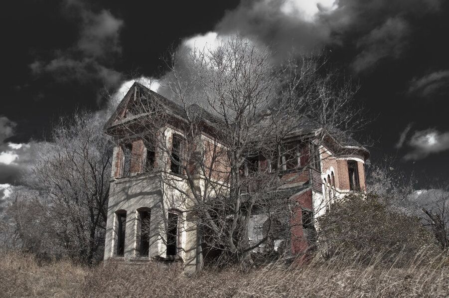 Яндекс Картинки