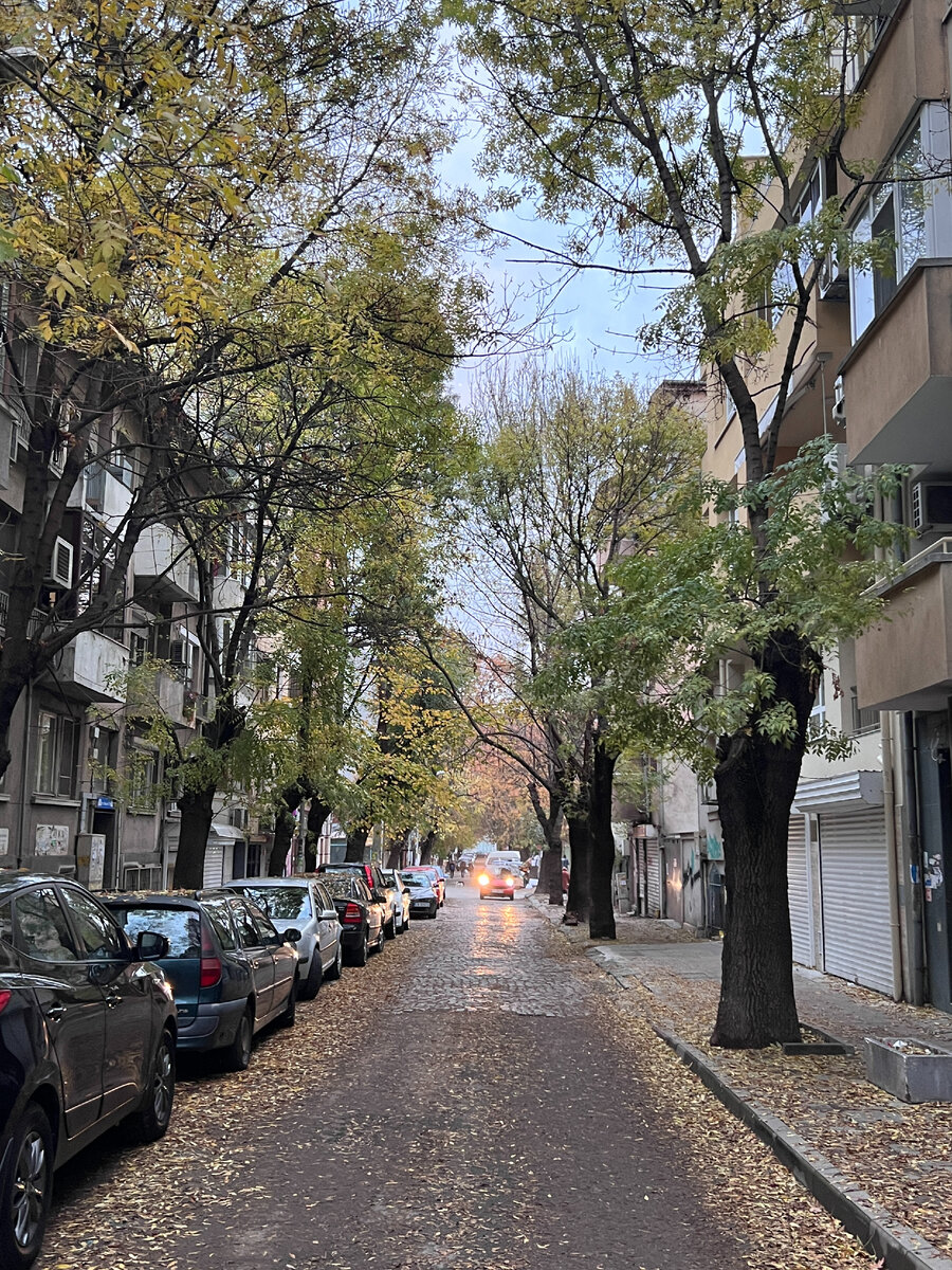 Фото автора блога Дно Мещанства, ноябрь 2022