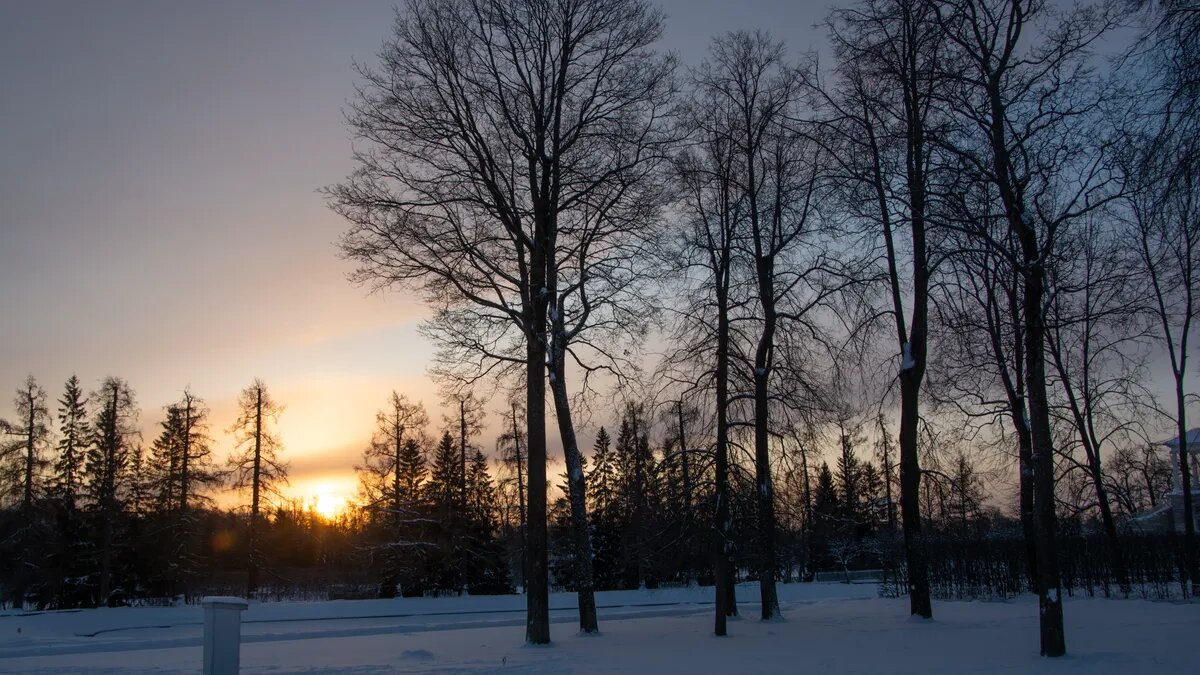 Со второй половины марта во многих городах России начнется потепление. Фото: Pxfuel.com