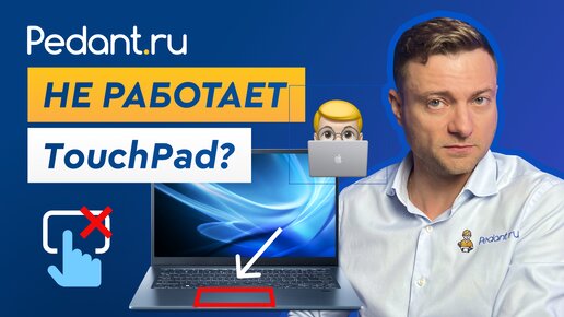 Тачпад на ноутбуке не работает. 6 способов решения проблемы с TouchPad