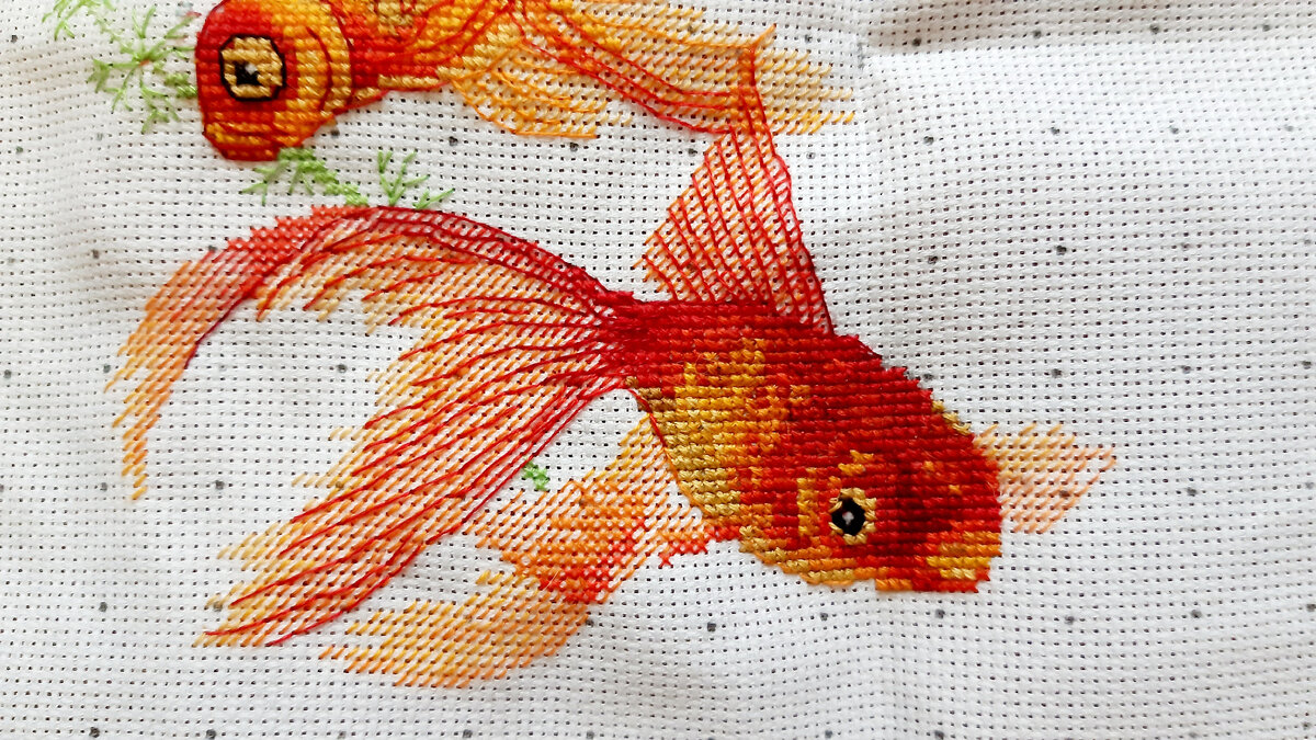 Рыбина номер два