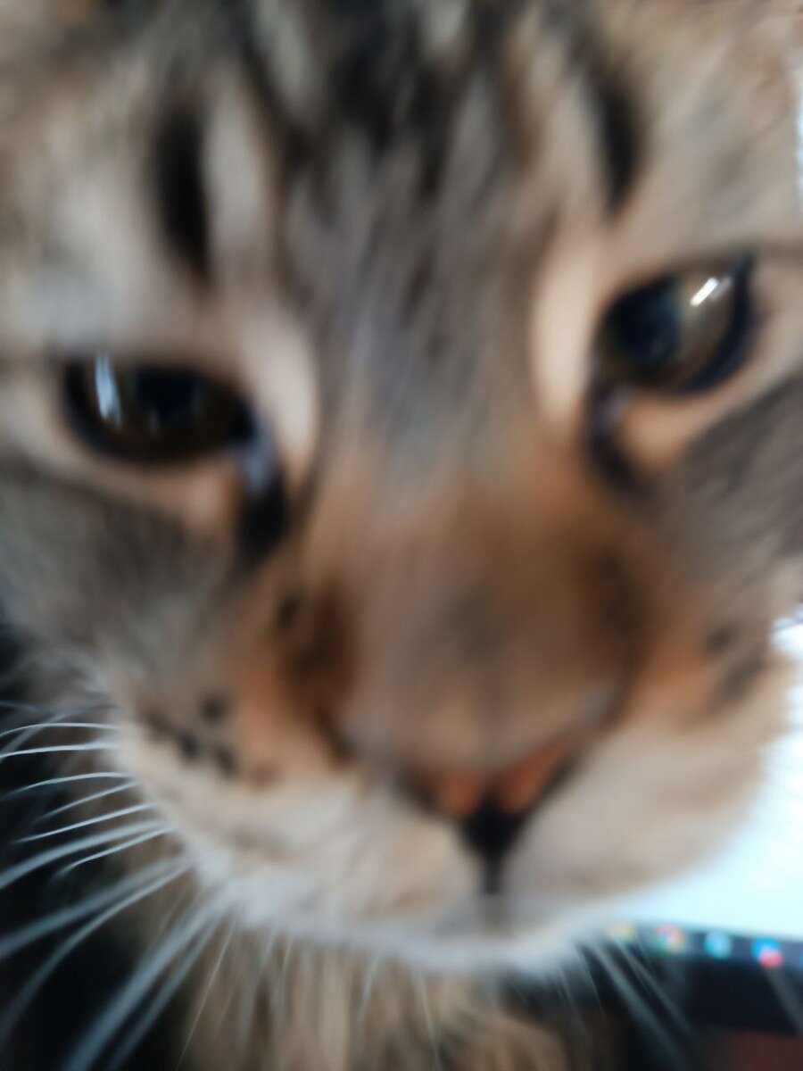 А Урсула с вами за компанию послушает