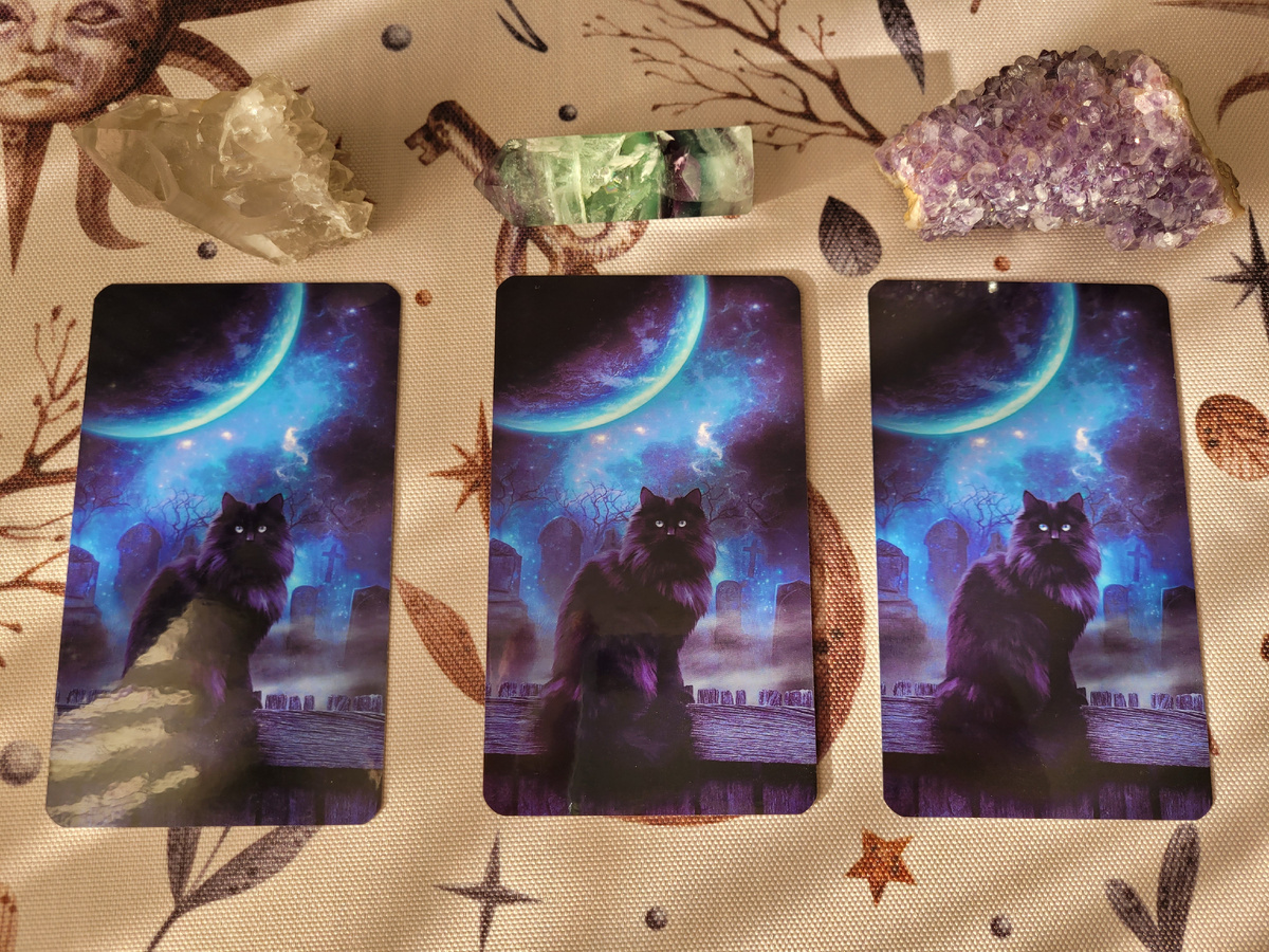 Фото сделано автором канала.