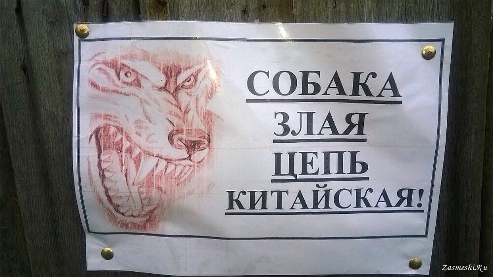 Яндекс картинки