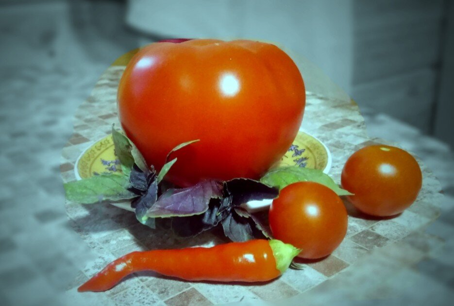 Натюрморт с Капитаном f1


