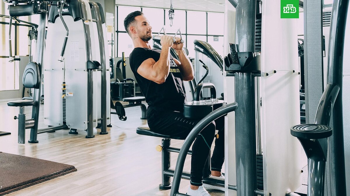    Фото: Sam Moghadam Khamseh / Unsplash