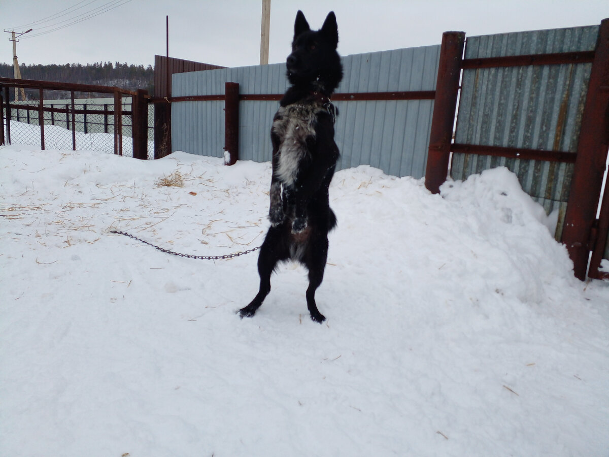 Фото из личного архива