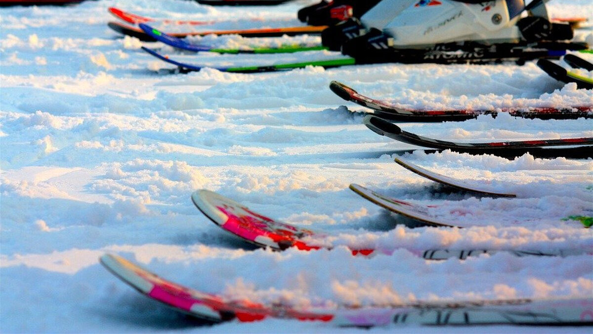   Фото: пресс-служба Министерства физической культуры и спорта Московской области