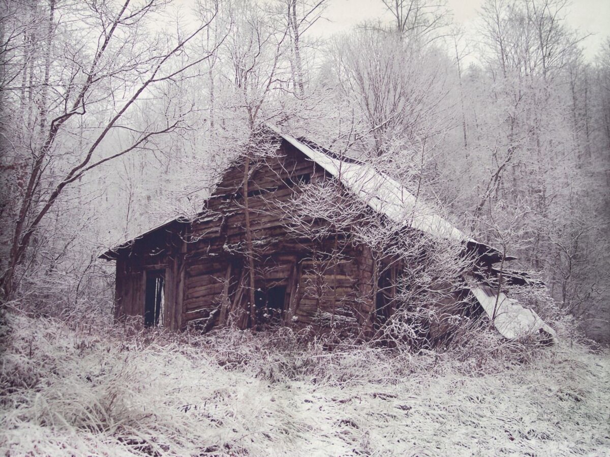 www.pinterest.com