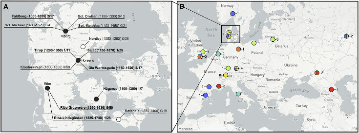   Katherine Eaton et al. / Current Biology, 2023