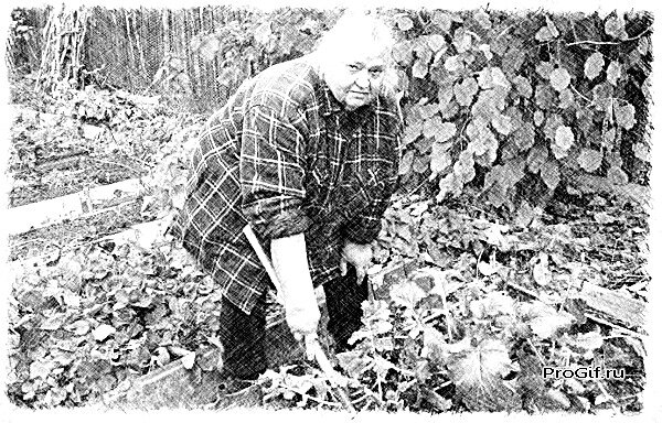 Фото из открытого источника