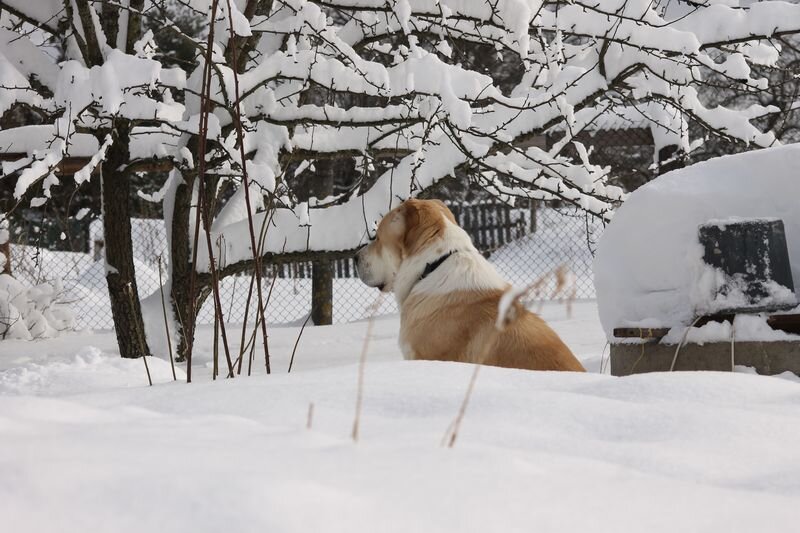Зара на тропинке сидит, думает куда податься, что делать и в чем смысл жизни