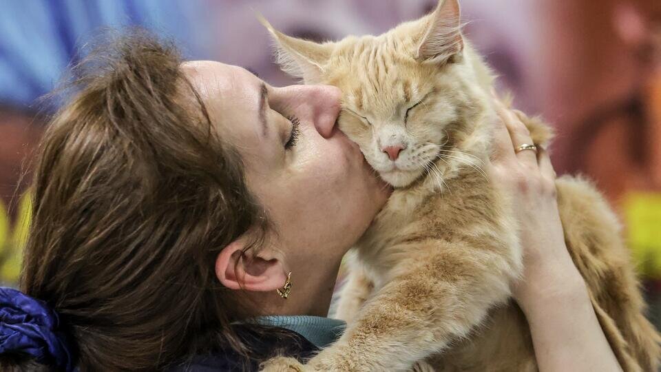 Фото: © Сергей Карпухин/ТАСС