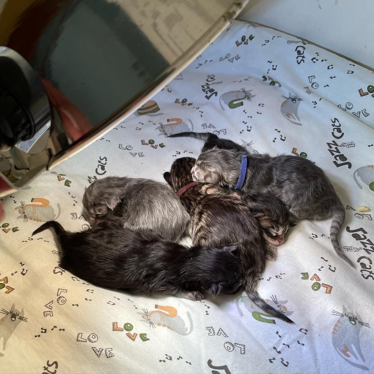 Малыши п-ка LEOLAND под лампой Солнышко 