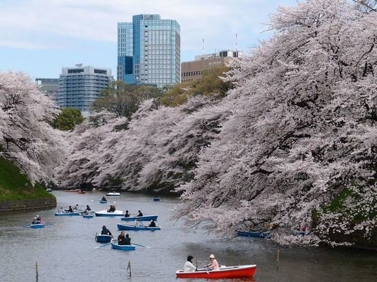     Токио. фото: pxhere.com