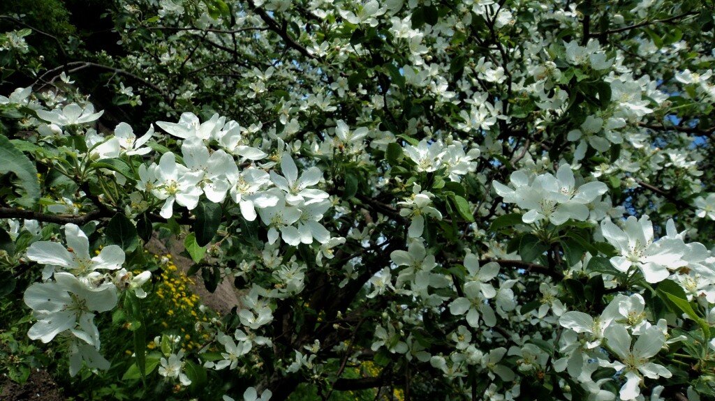 Было... И прошло...