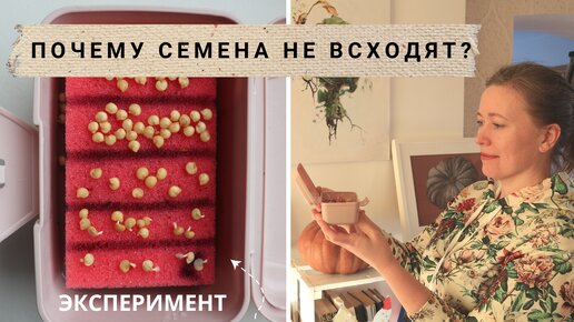 Почему не всходят семена? Как хранить семена сто лет?