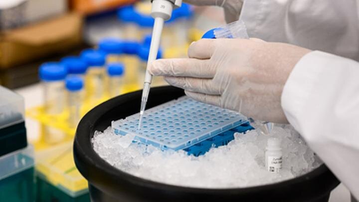 Фото: globallookpress.com/Bernd von Jutrczenka/dpa