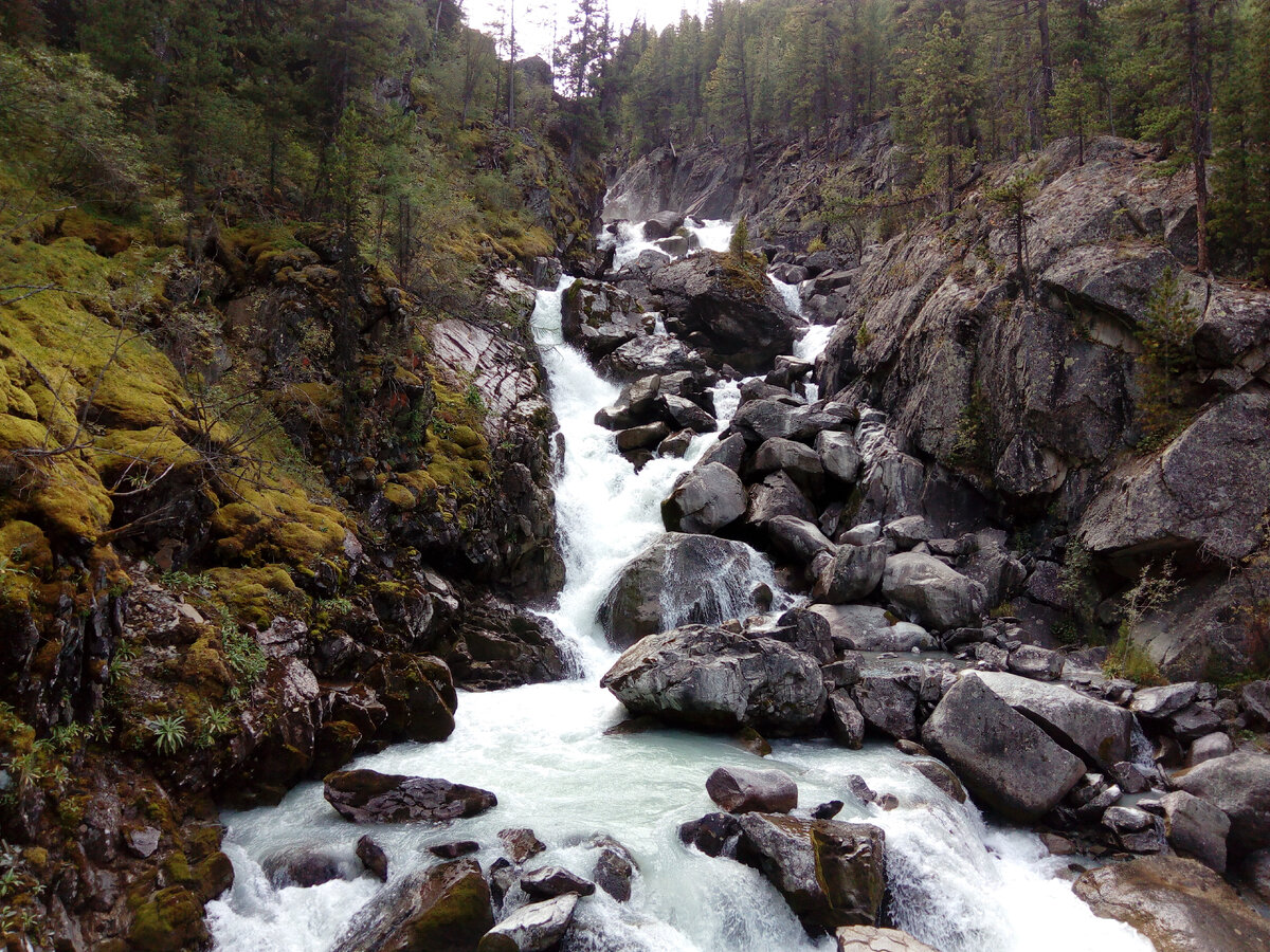 Даже не верится, что такое удалость сфотографировать