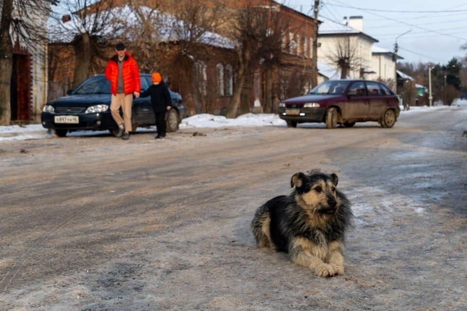     Фото: архив "КП"