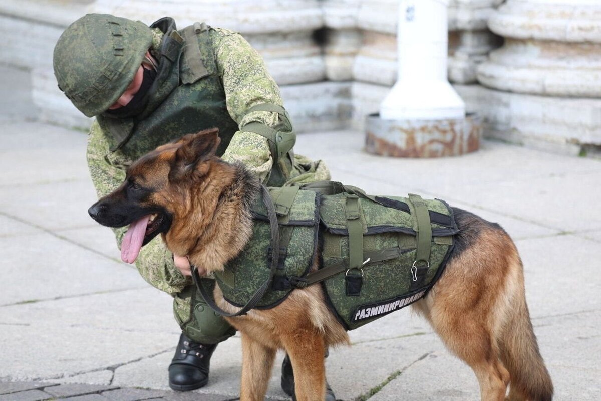      Фото: Минобороны РФ