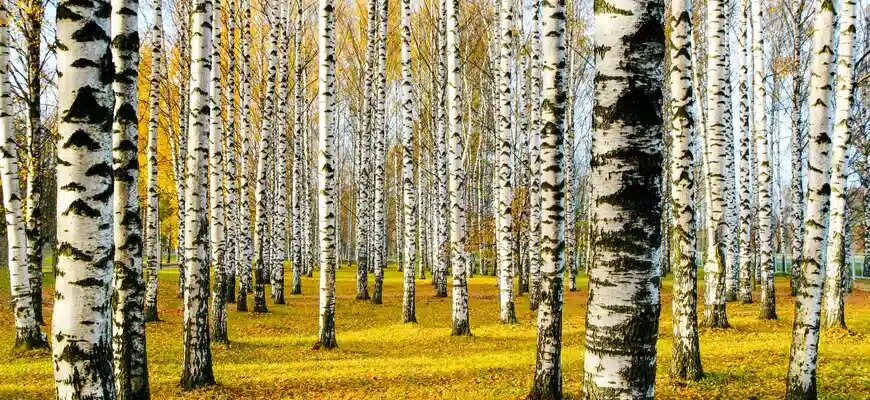 © wirestock / Freepik
