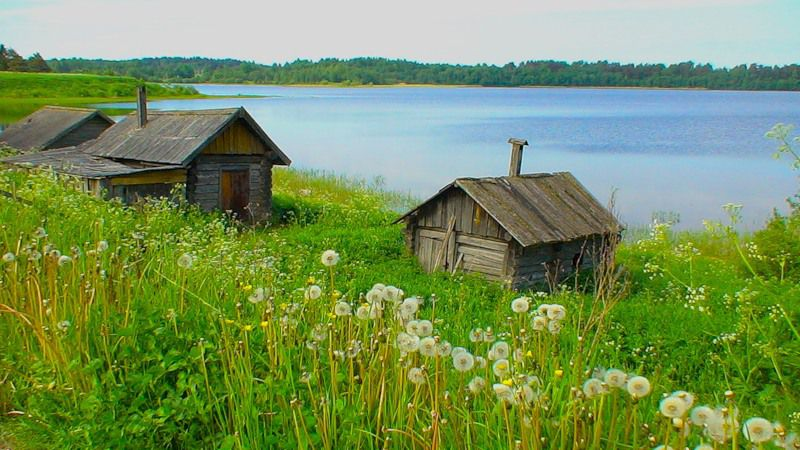 Деревенская Тихая река