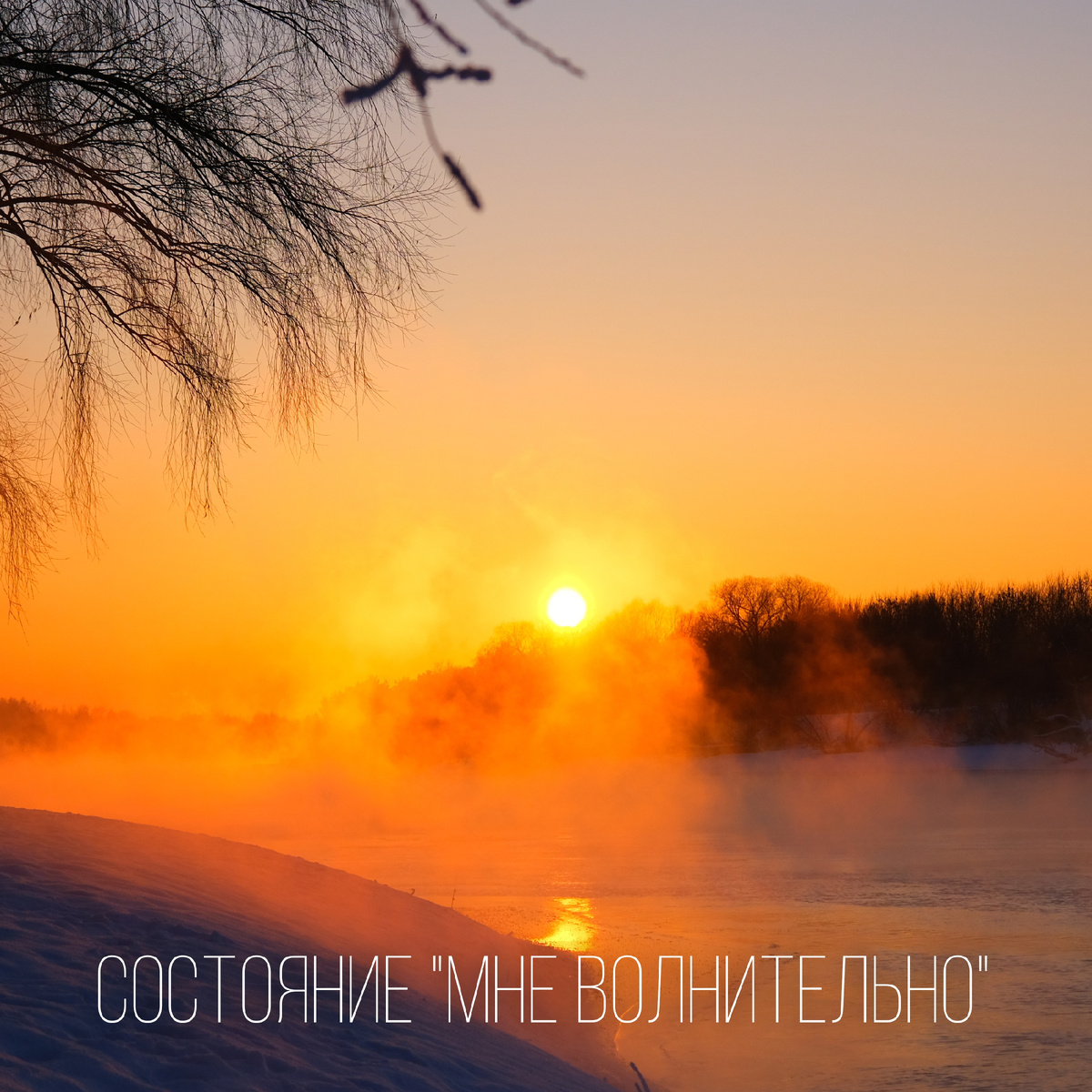 Фотография: https://grishin-photo.ru