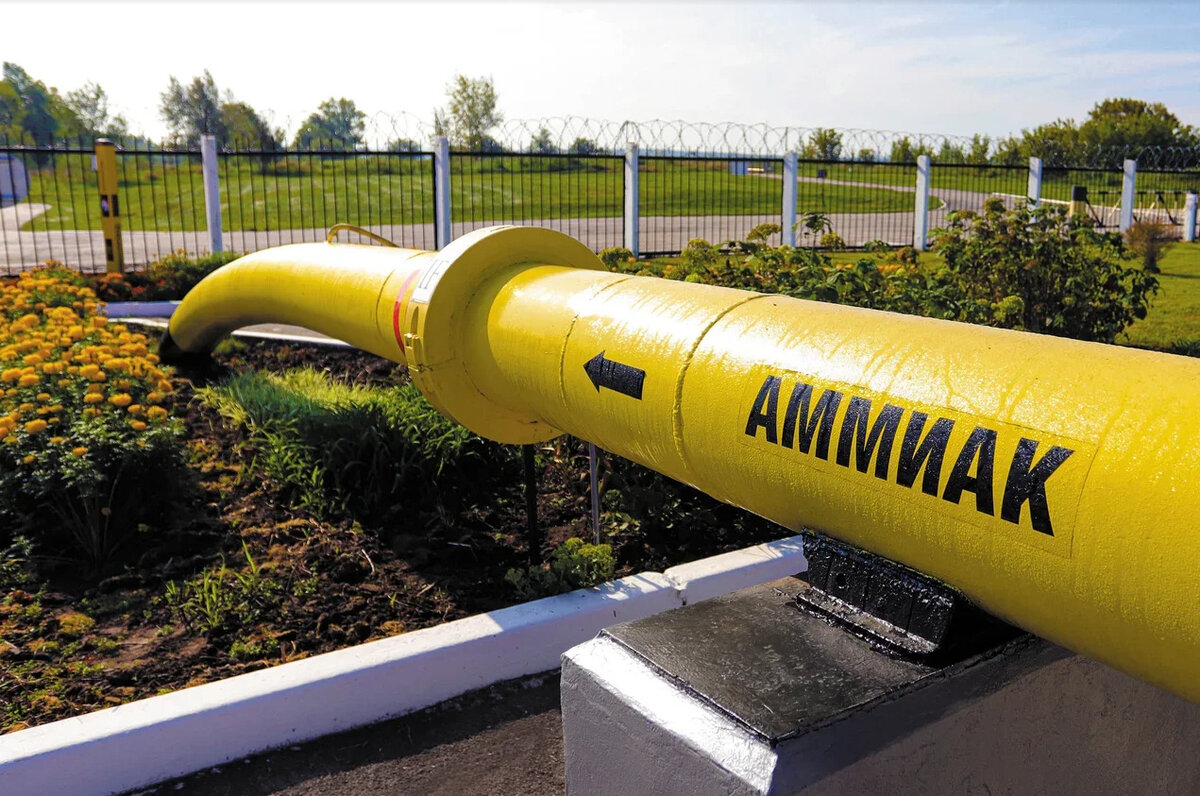 Труба аммиакопровода "Тольятти - Одесса". Источник: Яндекс.Картинки