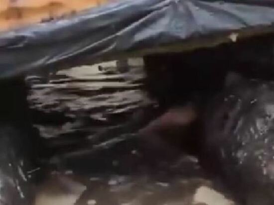   Кадр из видео