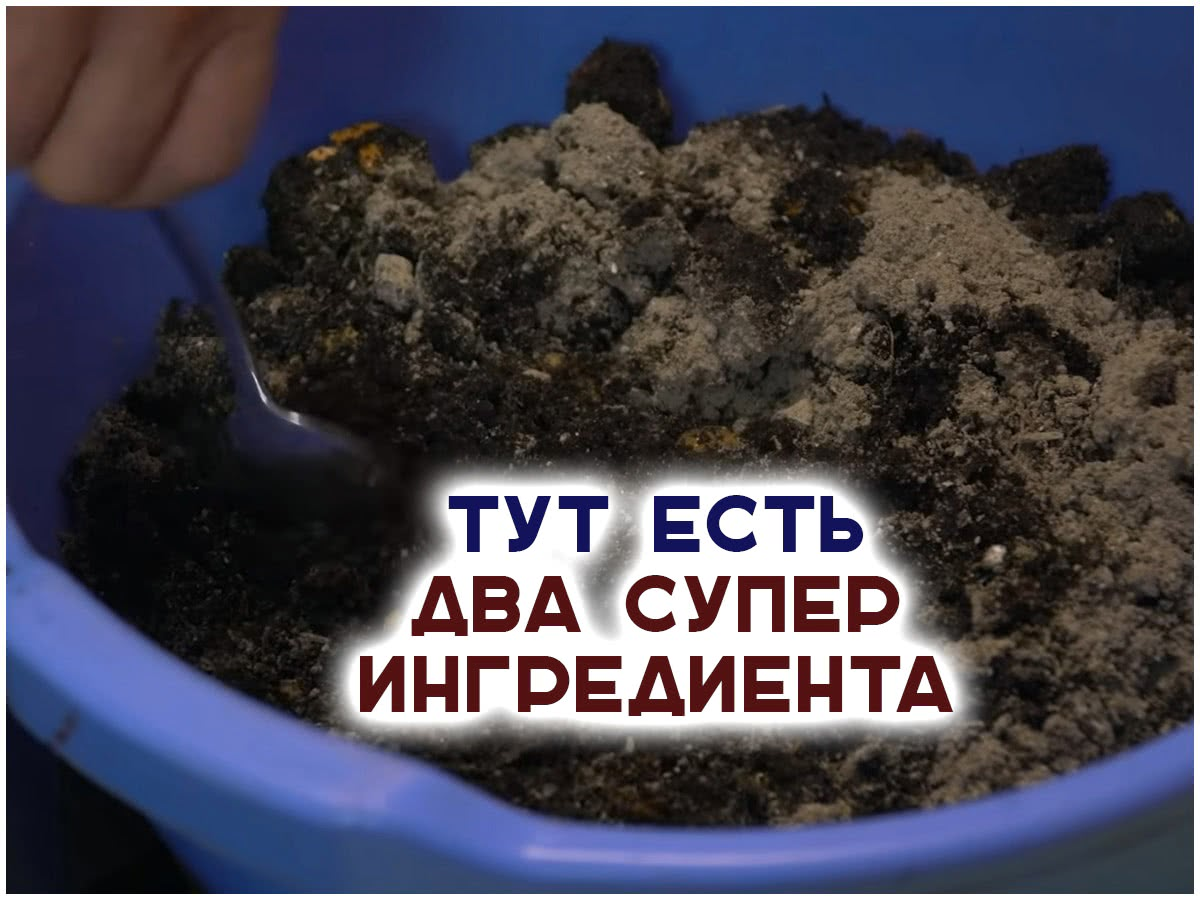 Грунтовка по дереву. Грунтовка super decor супергрунт-70 + антисепт вд-ак-006. Грунтовка нужна для. Из чего состоит грунтовка. Почему землю называют кормилицей.