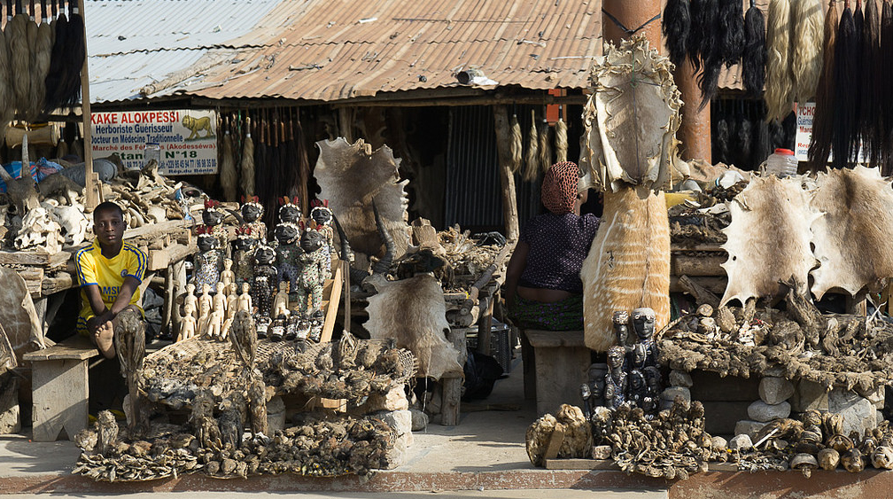 Тома market. Магический рынок Акодессева. Рынок амулетов Акодессева (Akodessewa fetish Market), того. Рынок Акодессева в того. Рынок Акодессева Африка.