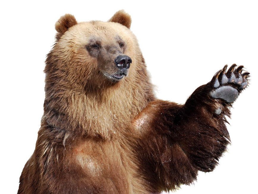    фото: Fotolia.com