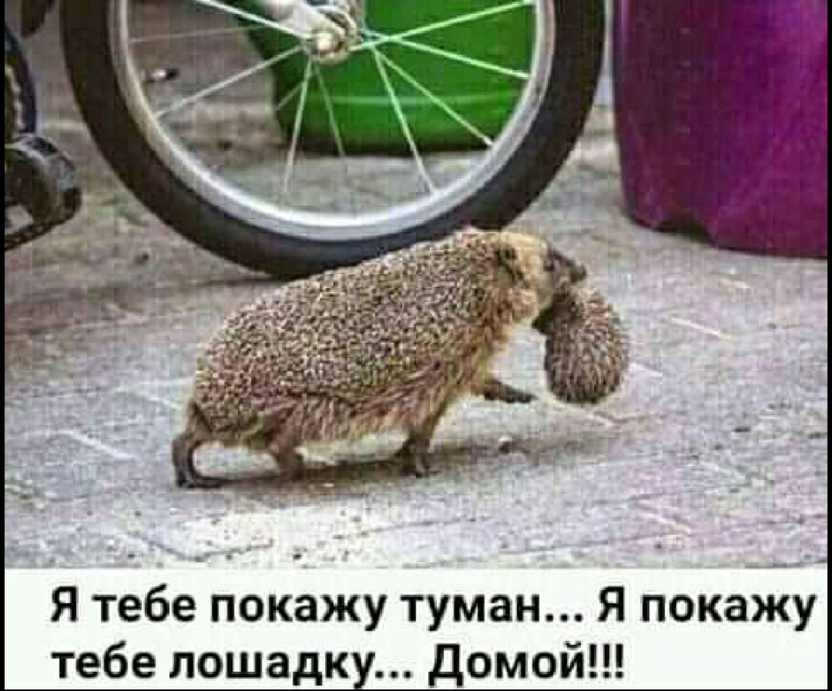 Мамы все одинаковы...