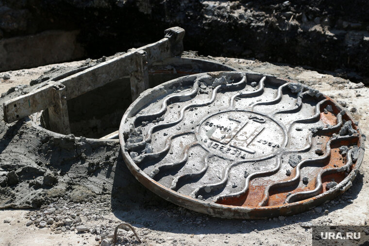    В Тюменской области из коллектора достали собаку