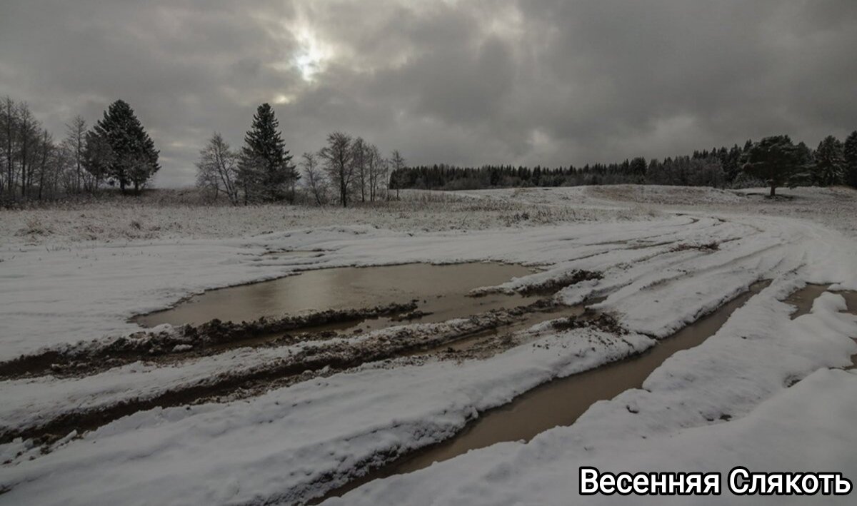 Слякоть при подъезде к лесу.