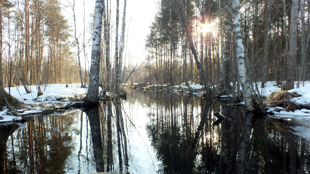 Photo by Veriko Dundua, unsplash.com