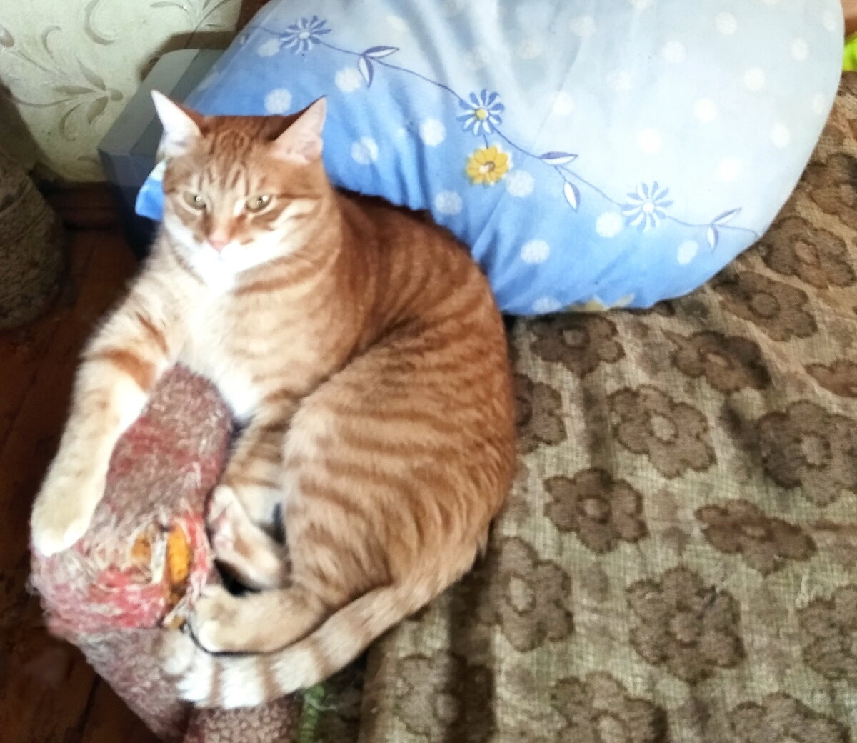 Личное  фото.