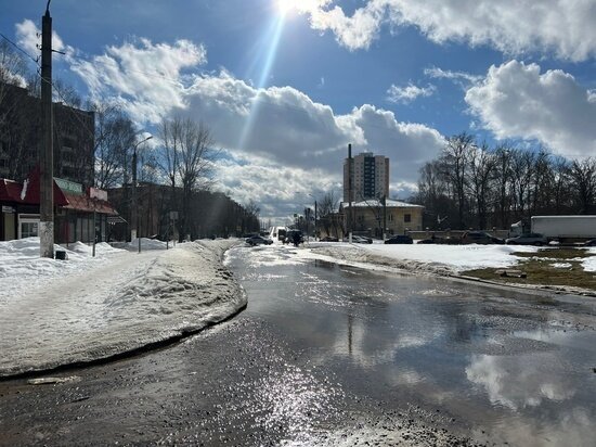   Екатерина Царева
